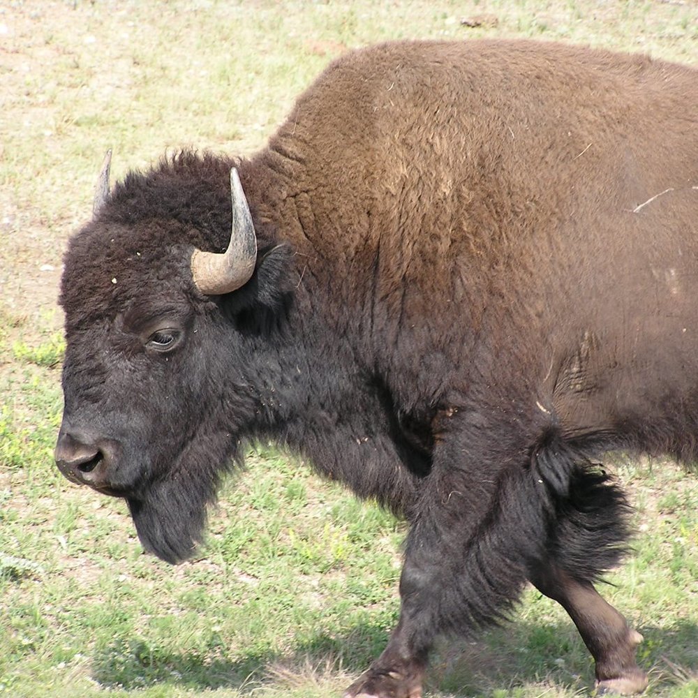 Meet your Posher, Kay